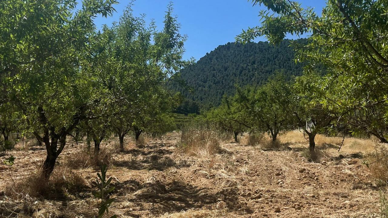  Tierra en El Portugalés